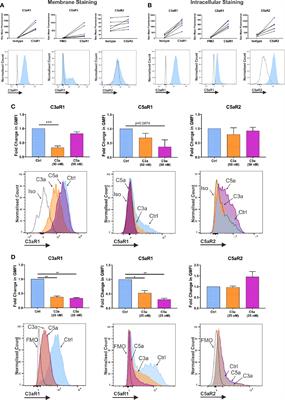 Interleukin-33 Amplifies Human Mast Cell Activities Induced by Complement Anaphylatoxins